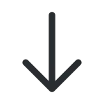 Arrow Down 1 SVG Icon